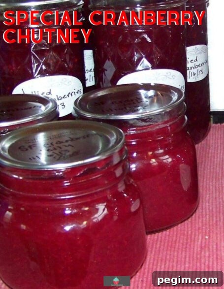 Special Cranberry Chutney, a wonderful recipe loaded with cranberries, apple, orange, golden raisins and pecans. Quick to make and great for freezing too! Serve as part of a dinner or with cold cuts.