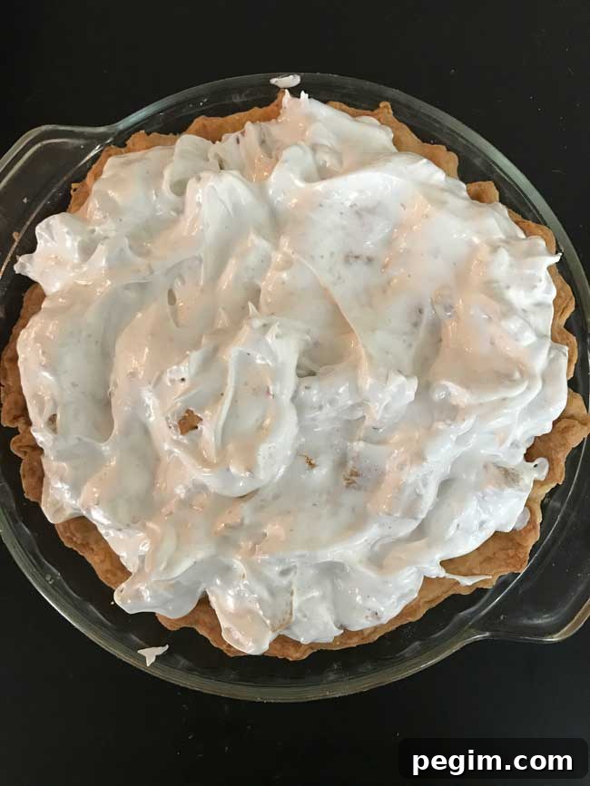 Butternut Brownie Pie