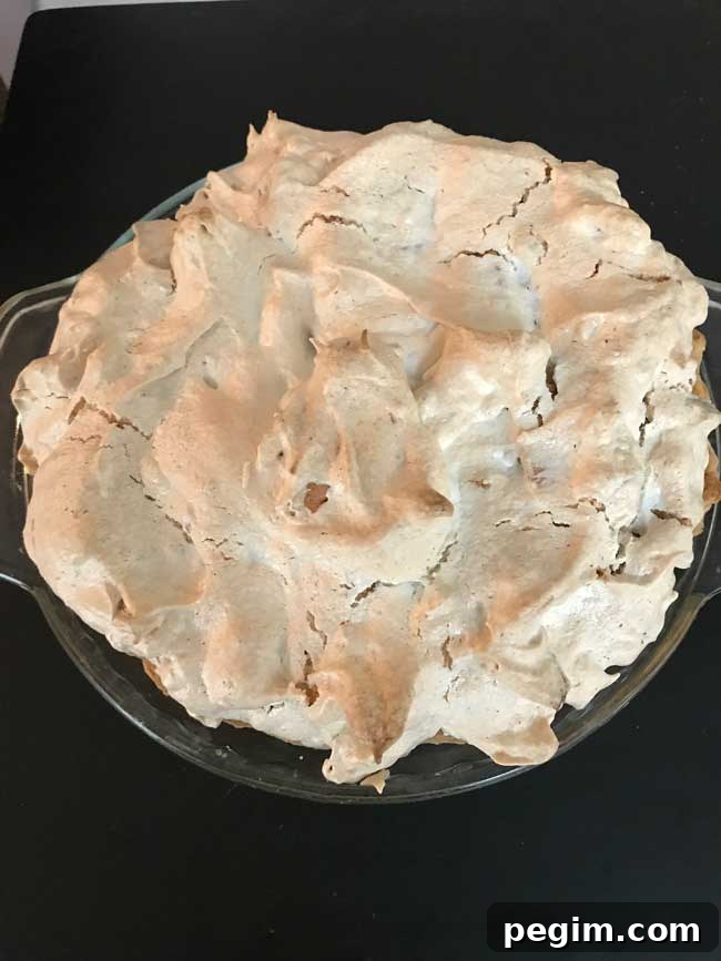 Butternut Brownie Pie