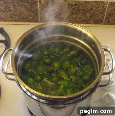 Boiling figs for greek fig spoon sweet sikalaki gliko.