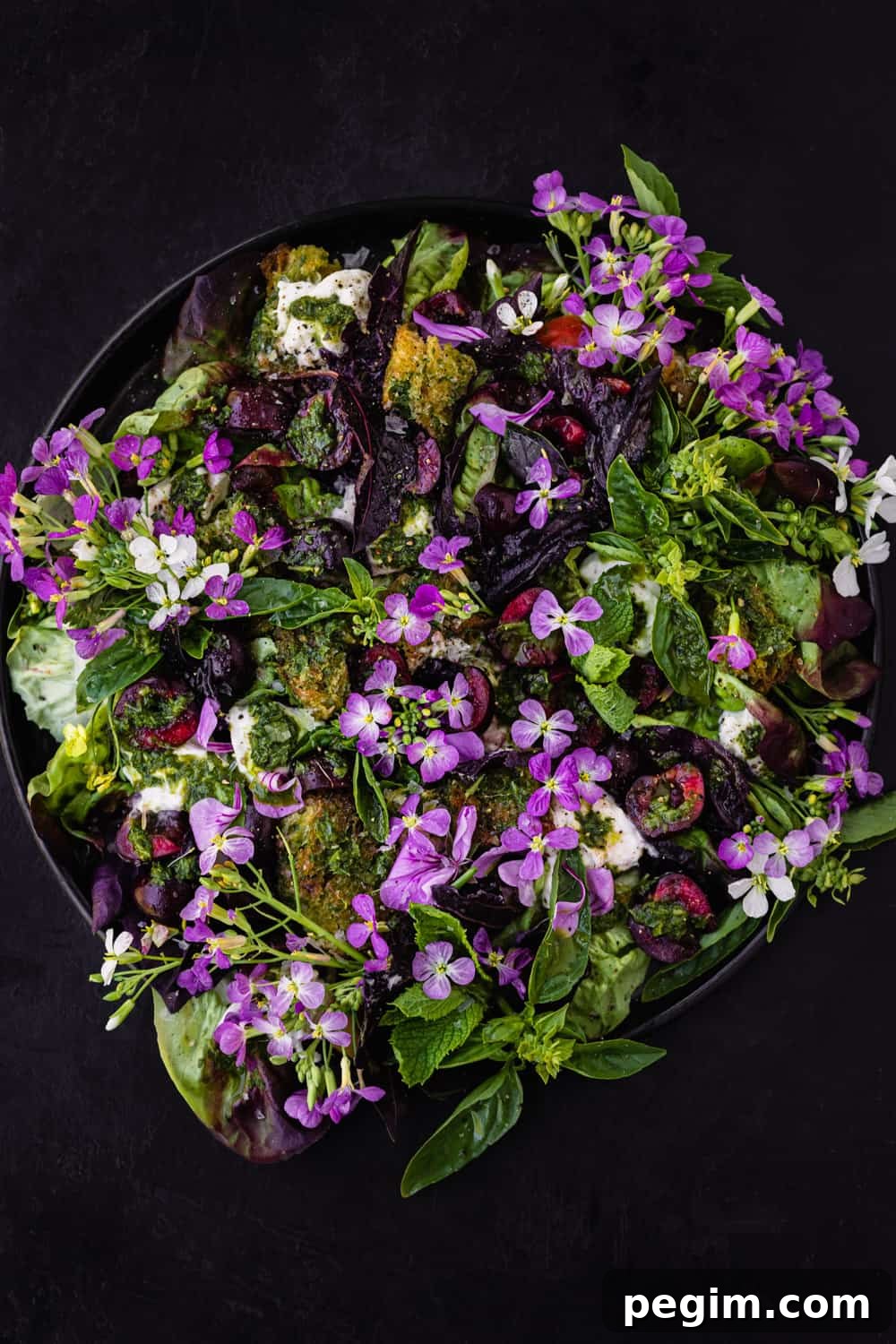 Summer cherry and fresh herb salad! with croutons, little gems, burrata and pesto vinaigrette on a black plate. Overhead shot on a black background.
