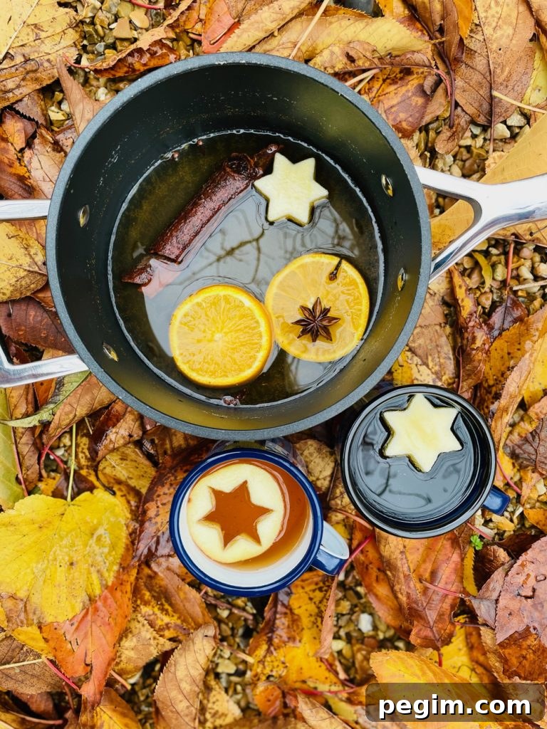 mulled cider with oranges and spices floating in the pan, next to the pan is two enamel mugs filled with cider with apple star shapes floating on top. Pan and cups are nestled amongst fallen orange leaves