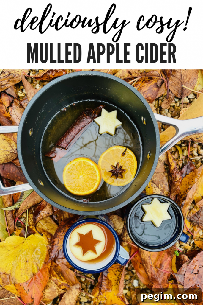 mulled cider with oranges and spices floating in the pan, next to the pan is two enamel mugs filled with cider with apple star shapes floating on top. Pan and cups are nestled amongst fallen orange leaves. Text overlay 