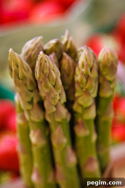 Asparagus -9397