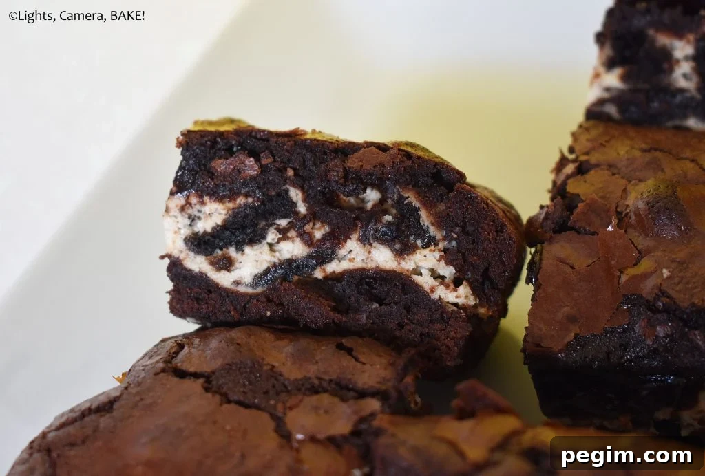 Cookies and Cream Cheesecake Brownies Recipe 4 Cookies and Cream cheesecake brownie slice on a plate.