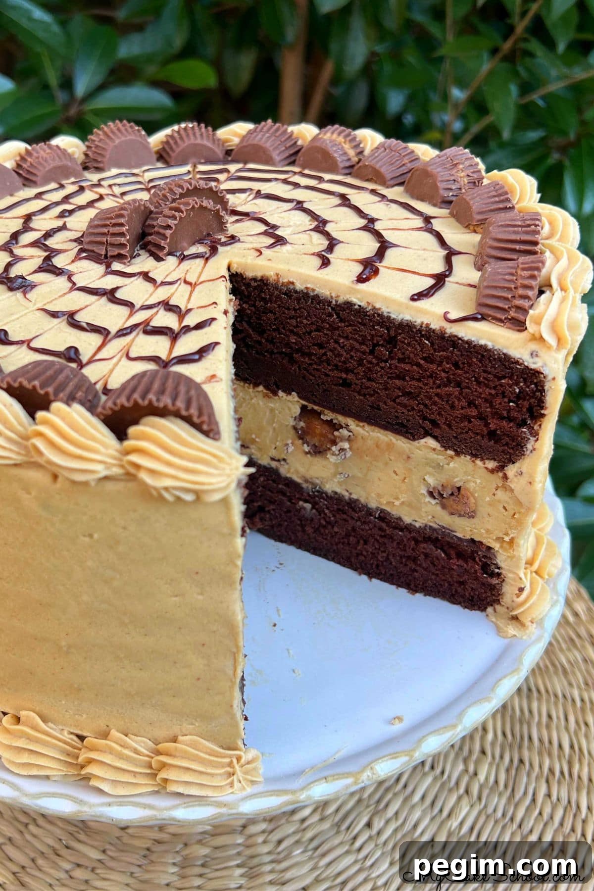 Chocolate Peanut Butter Cheesecake Cake, sliced.