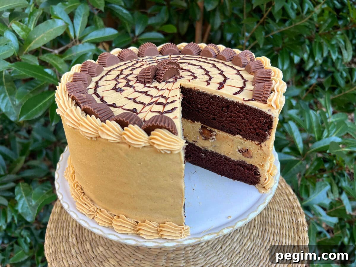 Chocolate Peanut Butter Cheesecake Cake on a cake pedestal.