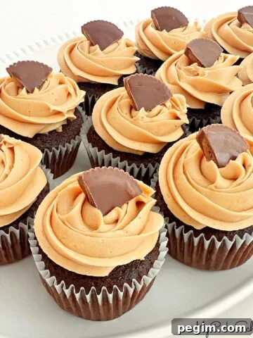 Chocolate Peanut Butter Cupcakes
