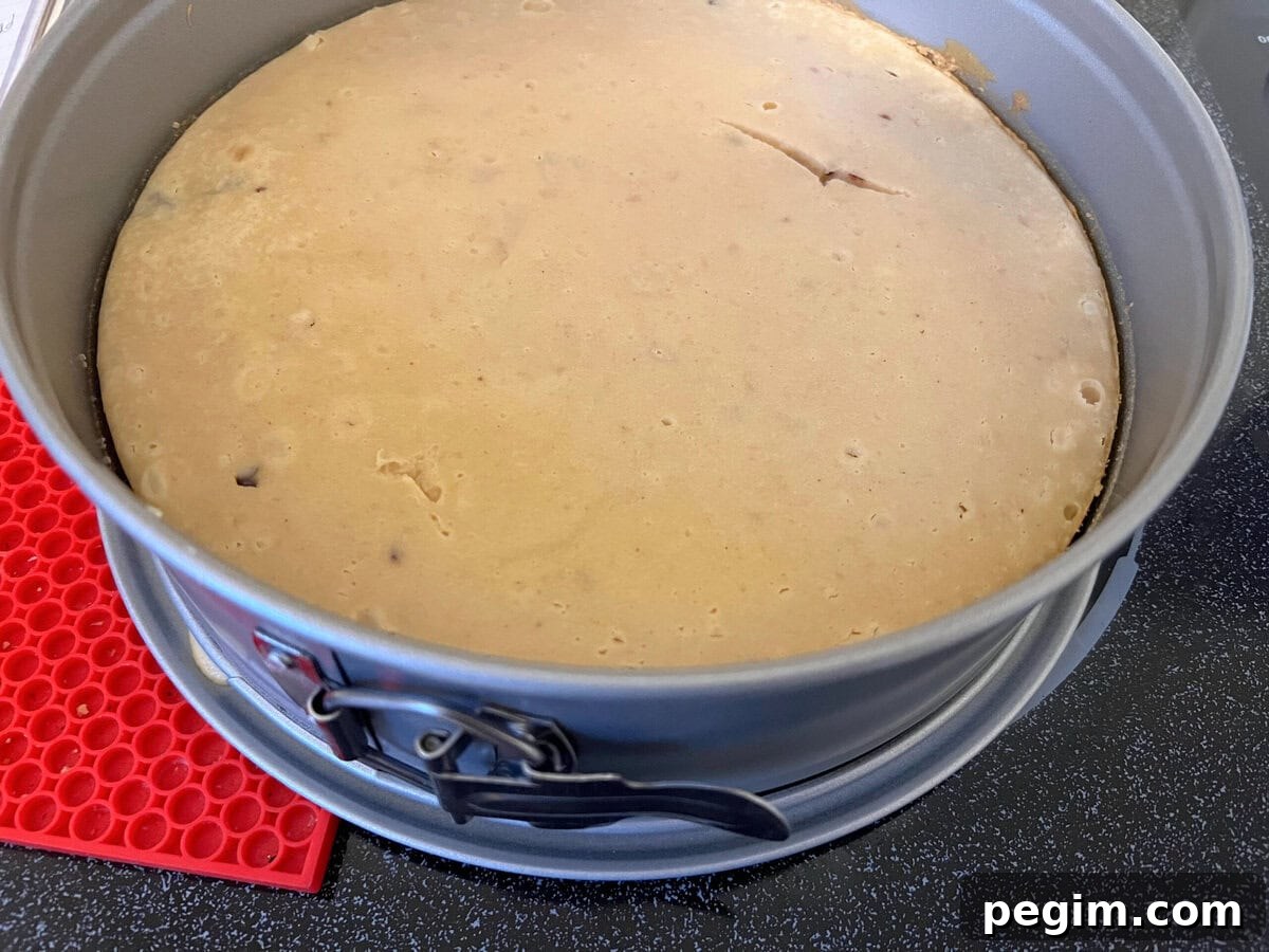 Peanut Butter Cheesecake Layer.