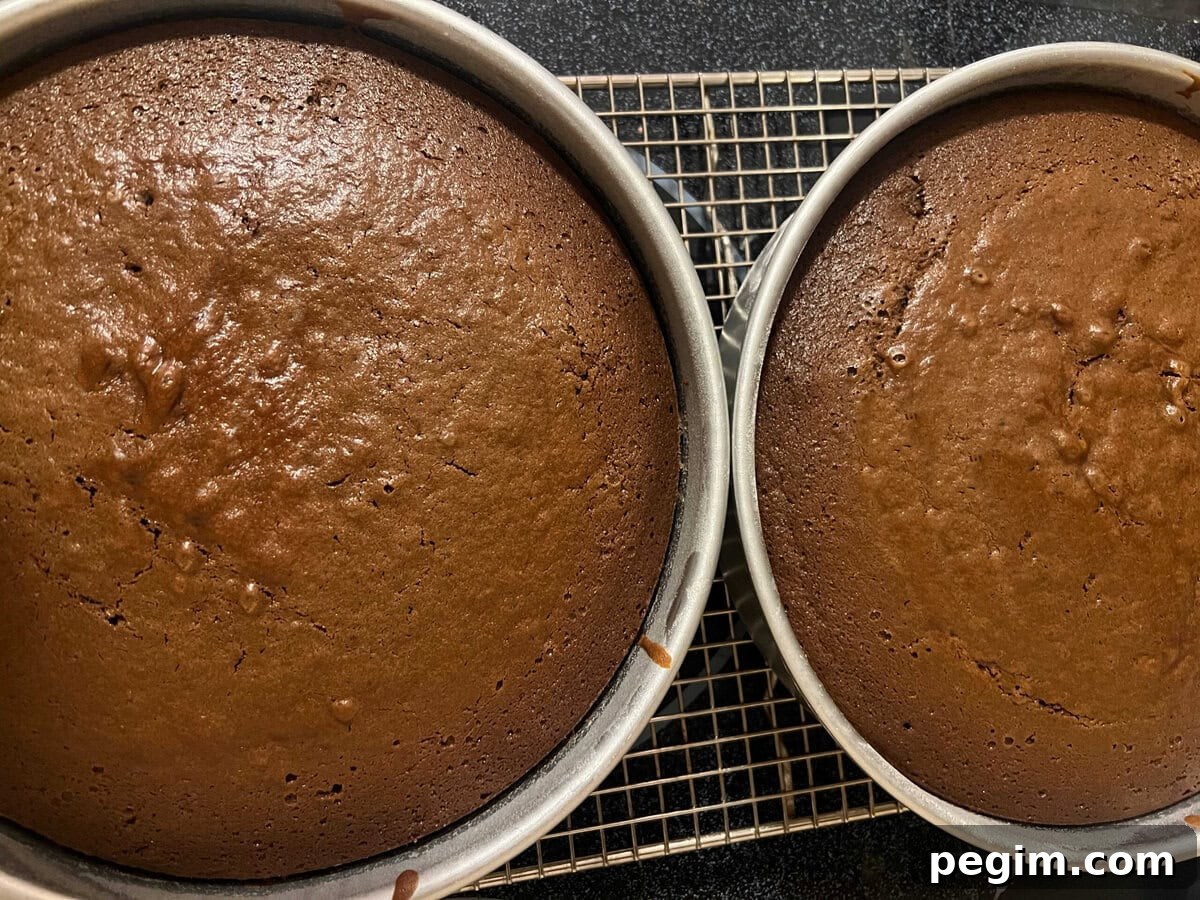 Chocolate Cake Layers, cooling on cooling rack in pans.