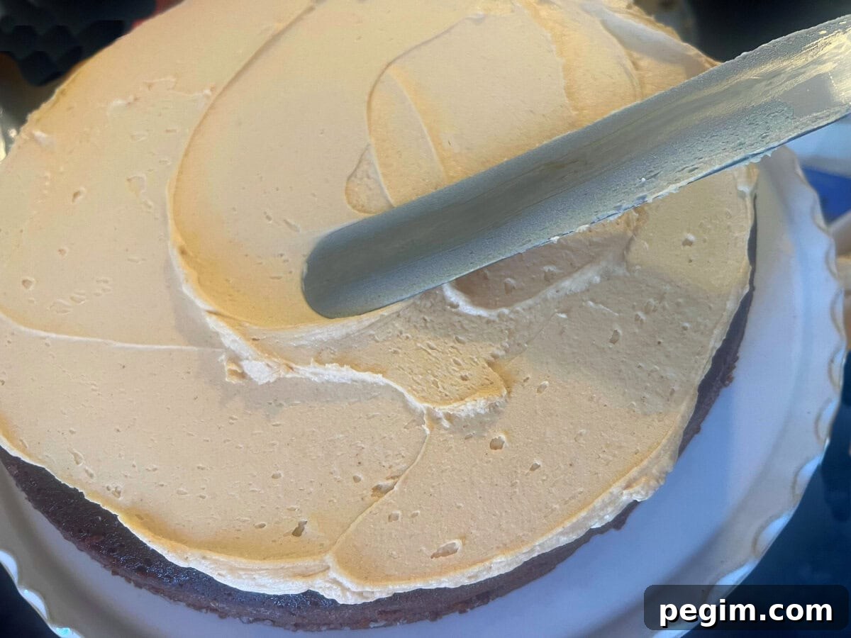 Chocolate cake with layer of frosting.