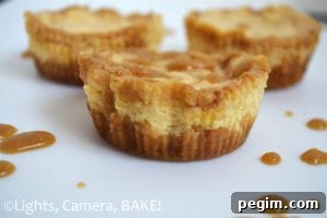 Mini Salted Caramel Cheesecakes. Little single serving cheesecakes. Super creamy, tangy and sweet with the lovely flavour of homemade salted caramel sauce! A sure winner. #saltedcaramelcheesecake #minicheesecakes #recipe