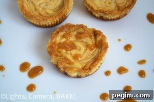Mini Salted Caramel Cheesecakes. Little single serving cheesecakes. Super creamy, tangy and sweet with the lovely flavour of homemade salted caramel sauce! A sure winner. #saltedcaramelcheesecake #minicheesecakes #recipe