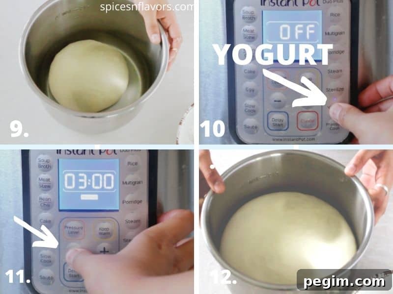 Bake Homemade White Bread in 5 Simple Steps 7 proofing dough in instant pot