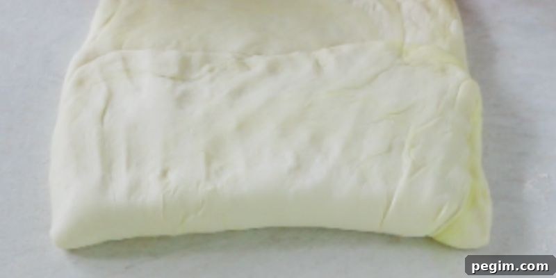 Bake Homemade White Bread in 5 Simple Steps 9 one third of the dough folded
