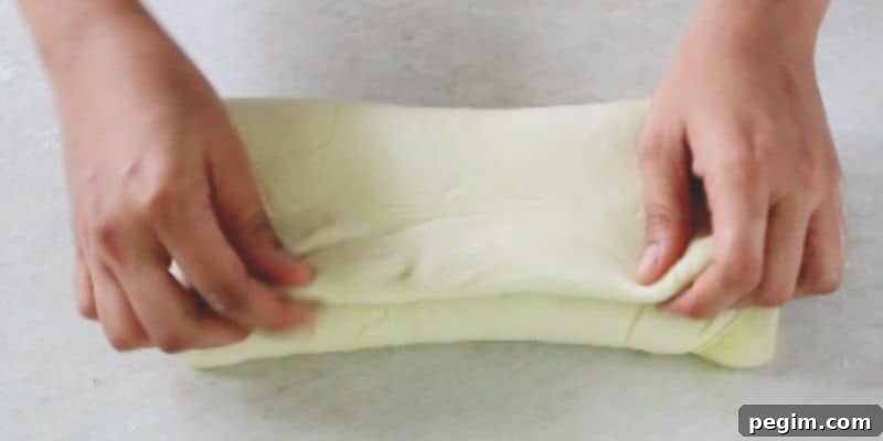 Bake Homemade White Bread in 5 Simple Steps 10 fold the remaining dough on top