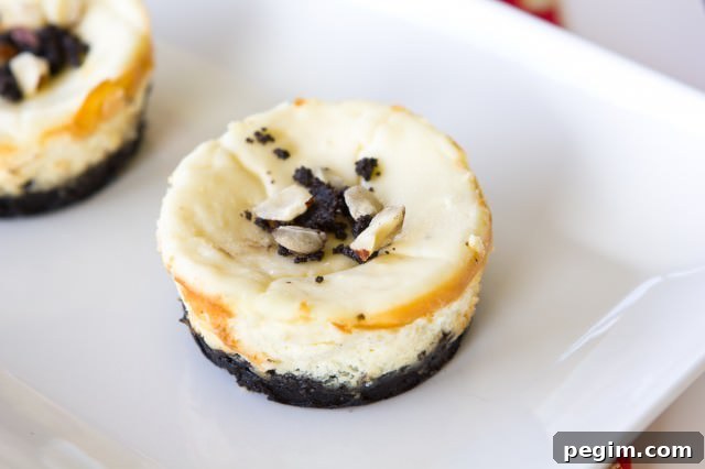 Oreo Cheesecake Cups