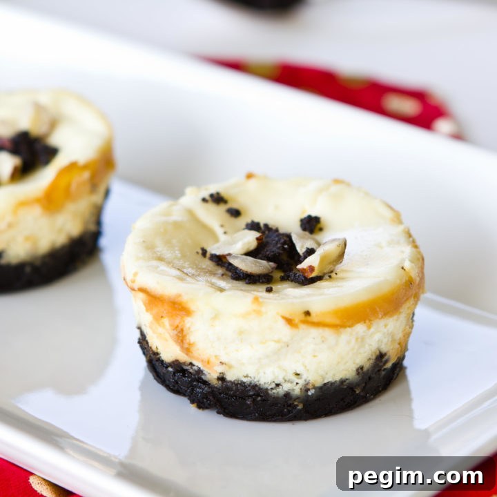 Oreo Cheesecake Cups