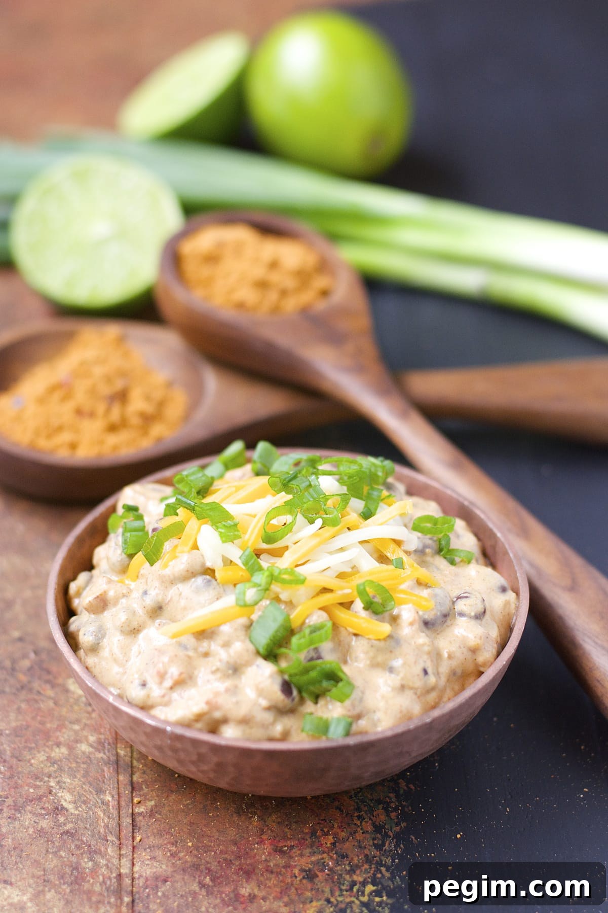 40+ Crockpot Dinners for Busy Weeknights 3 Slow Cooker Spicy Black Bean Dip, this stuff is so addictive! Only FOUR ingredients and gluten free!
