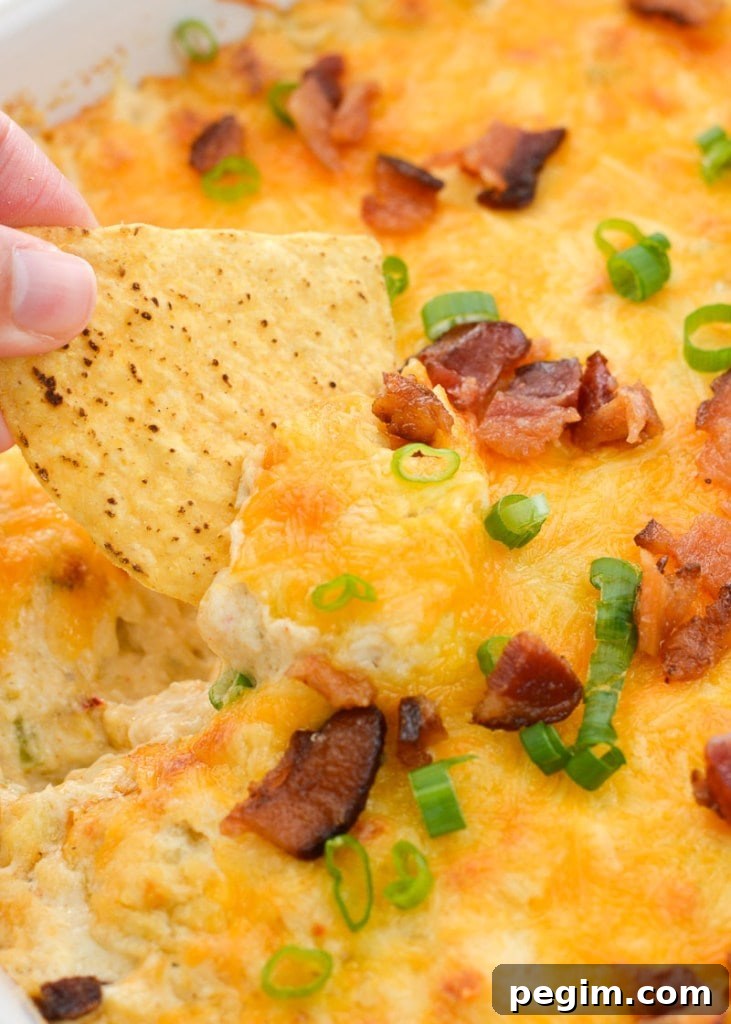 40+ Crockpot Dinners for Busy Weeknights 5 img 6587 4
