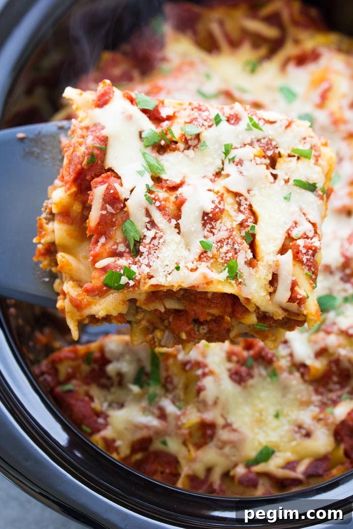 40+ Crockpot Dinners for Busy Weeknights 8 img 6587 7