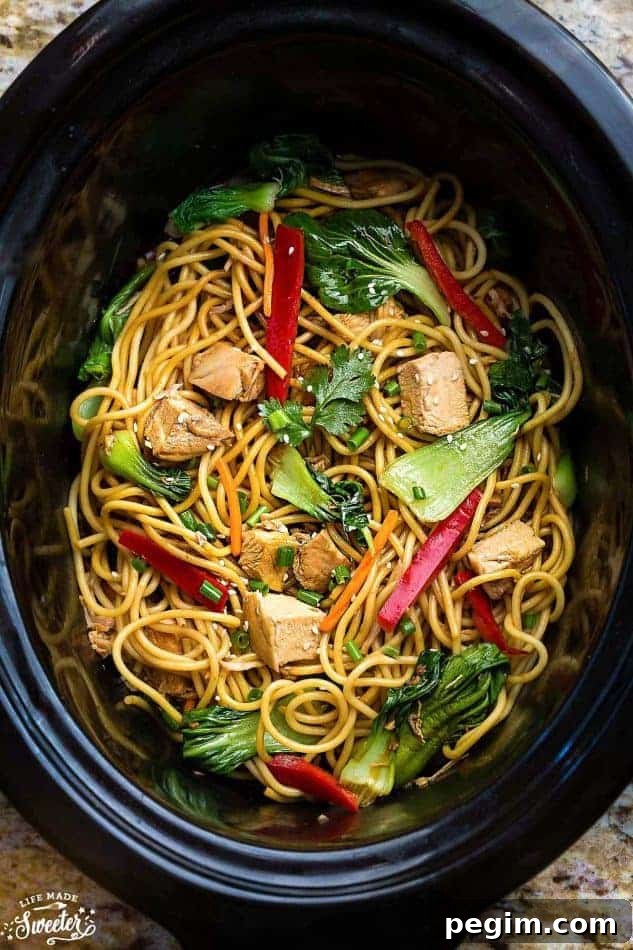 40+ Crockpot Dinners for Busy Weeknights 9 img 6587 8