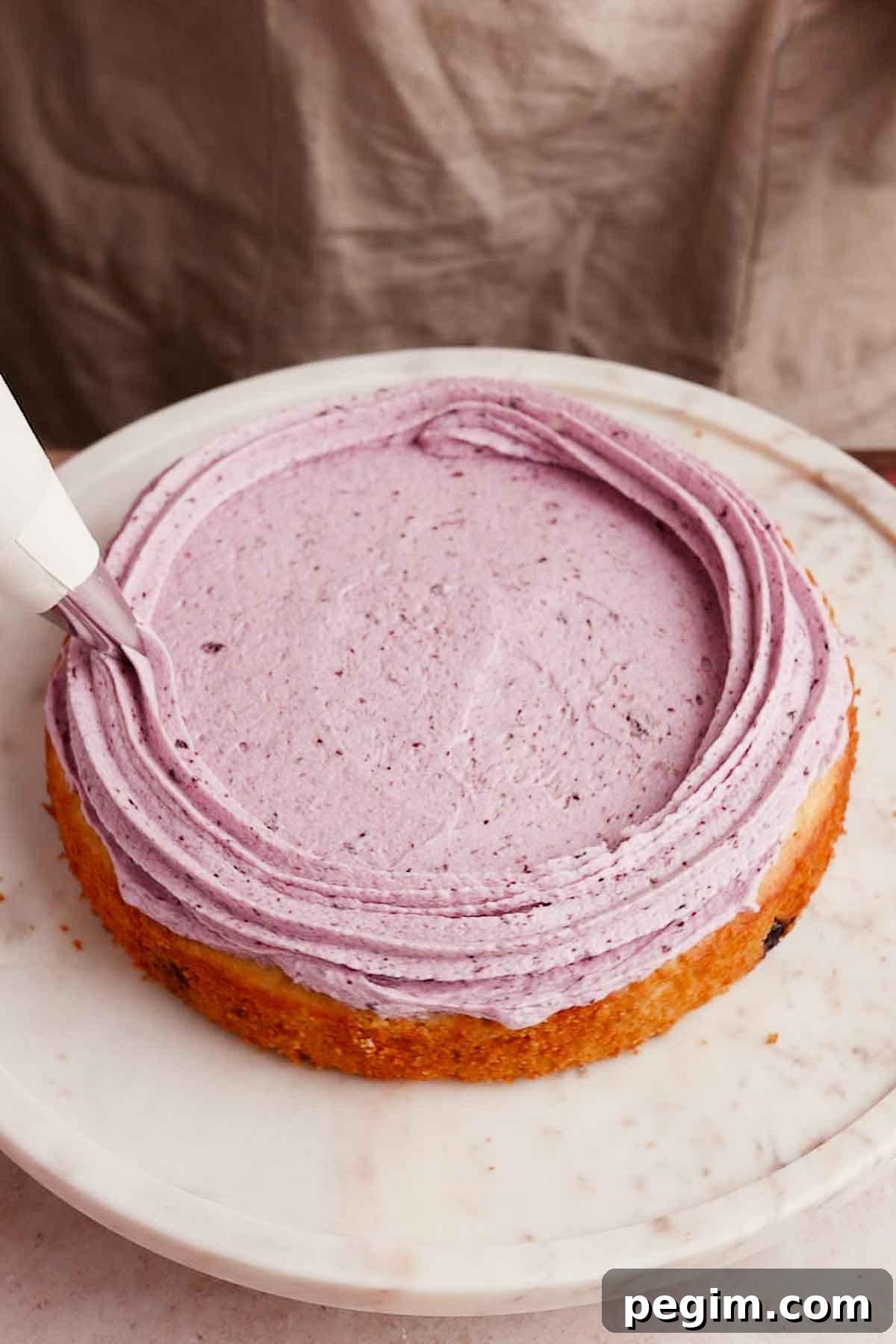 Blueberry Birthday Cake Recipe — Moist Layer Cake for Parties 13 piping blueberry cream cheese frosting on bottom cake layer to create a border