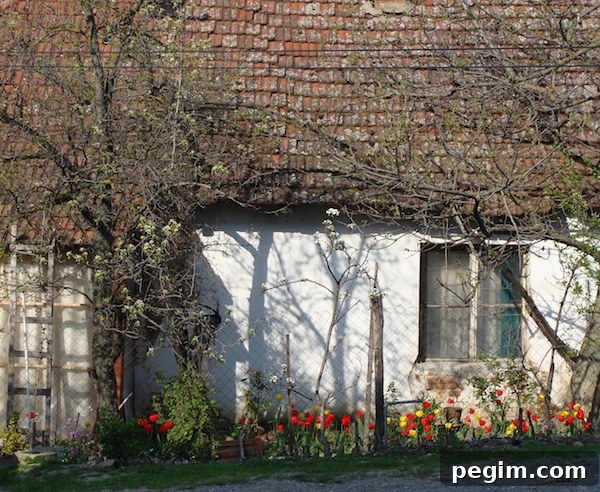 Explore Greece and Kosovo: 10-Day Travel Guide and Top Sights 13 old kosovo cottage