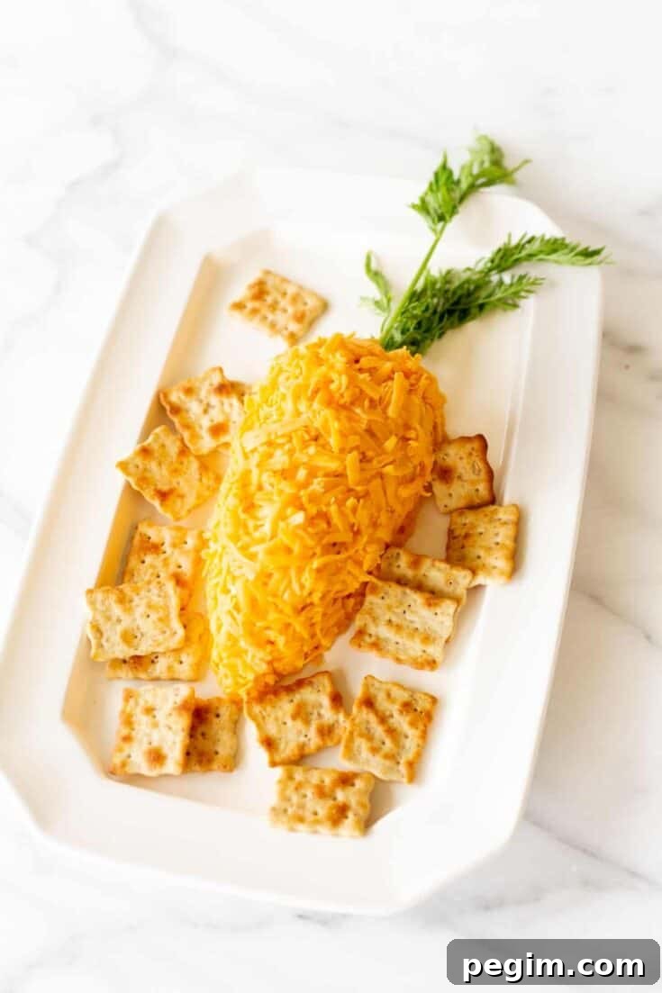 60 Spring Appetizers Your Guests Will Love for Parties & Potlucks 6 Carrot Cheese Ball