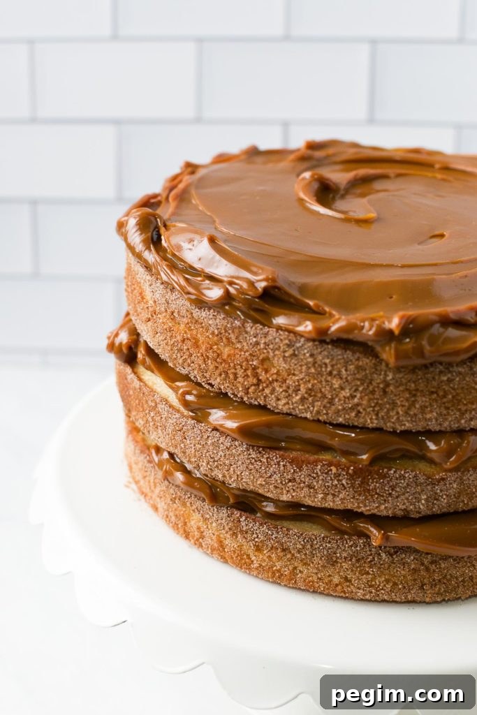 Cinnamon Churro Cake with Crispy Sugar Crust 2 Brazilian Churro Cake filled and topped with dulce de leche