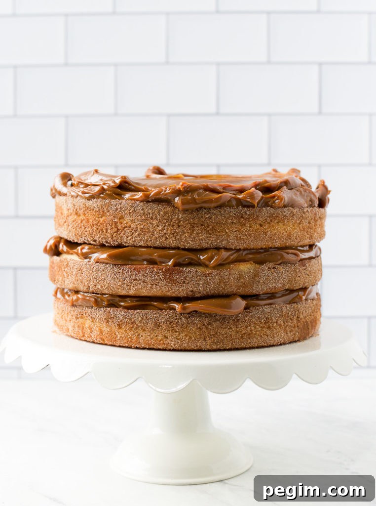 Cinnamon Churro Cake with Crispy Sugar Crust 8 Brazilian Churro Cake filled and topped with dulce de leche