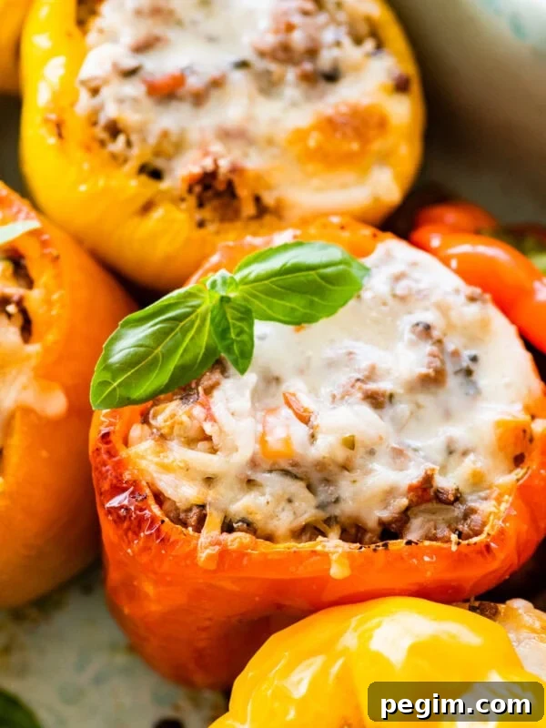 Classic Italian Pickled Peppers Recipe 13 Italian stuffed peppers in a dish garnished with fresh basil and melted cheese.