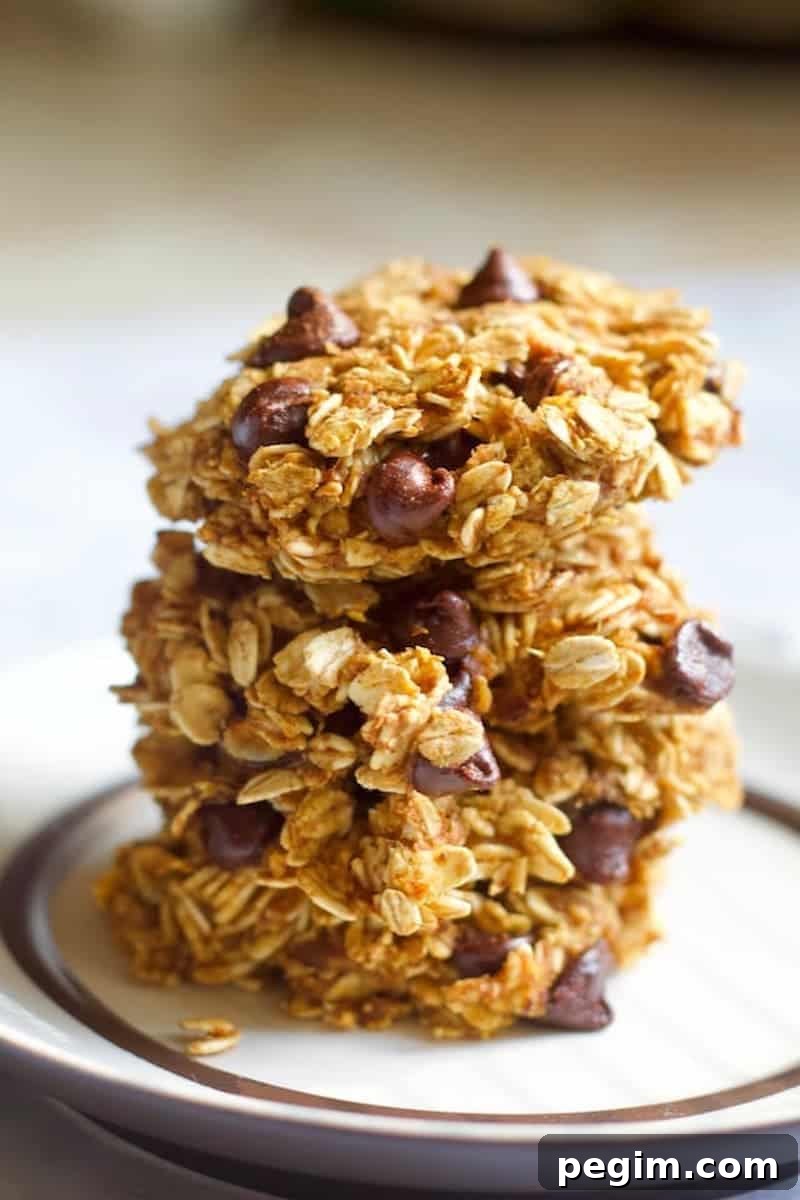Pumpkin Chocolate Chip Cookies - Soft Fall Cookie Recipe 2 Healthy Pumpkin Chocolate Chip Cookies Stacked on Plate