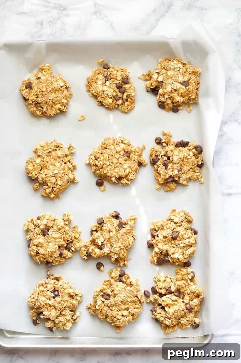 Pumpkin Chocolate Chip Cookies - Soft Fall Cookie Recipe 4 Healthy Pumpkin Chocolate Chip Cookies Overhead on Parchment Paper Lined Baking Sheet