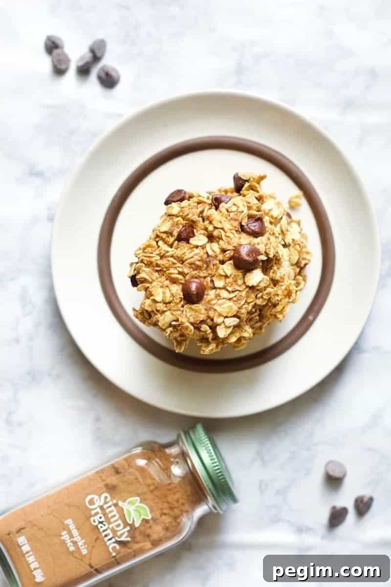 Pumpkin Chocolate Chip Cookies - Soft Fall Cookie Recipe 5 Healthy Pumpkin Chocolate Chip Cookies Overhead on Plate