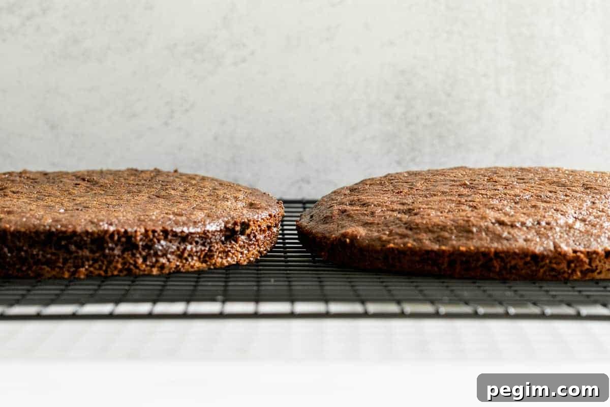 2 chocolate cake layers on a black wire cooling rack