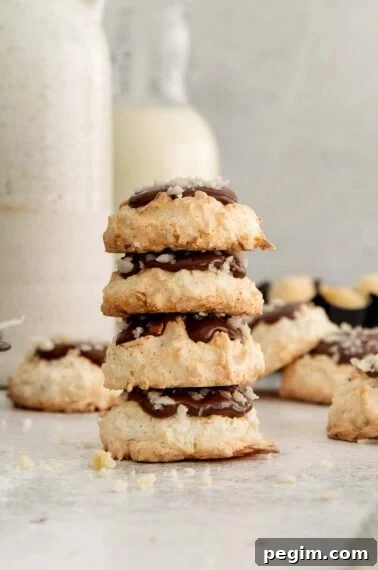 Chocolate coconut cookies