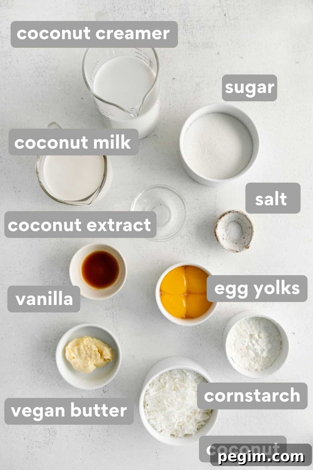 Vegan Coconut Cream Pie Recipe 3 Ingredients for coconut cream pie on a countertop