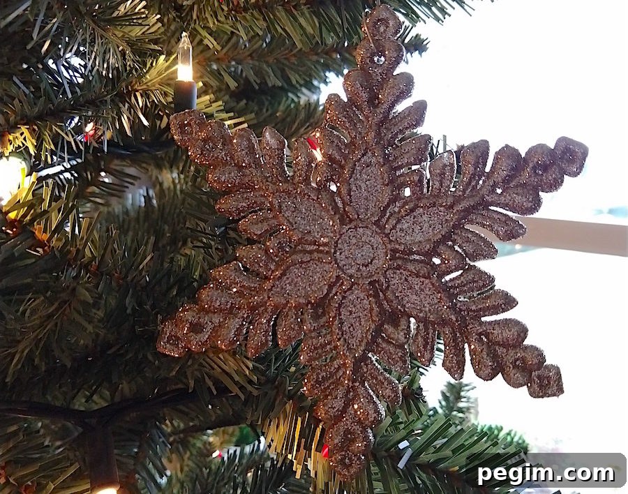 Finding Hope for Weary Hearts This Holiday Season 3 img 5463 2