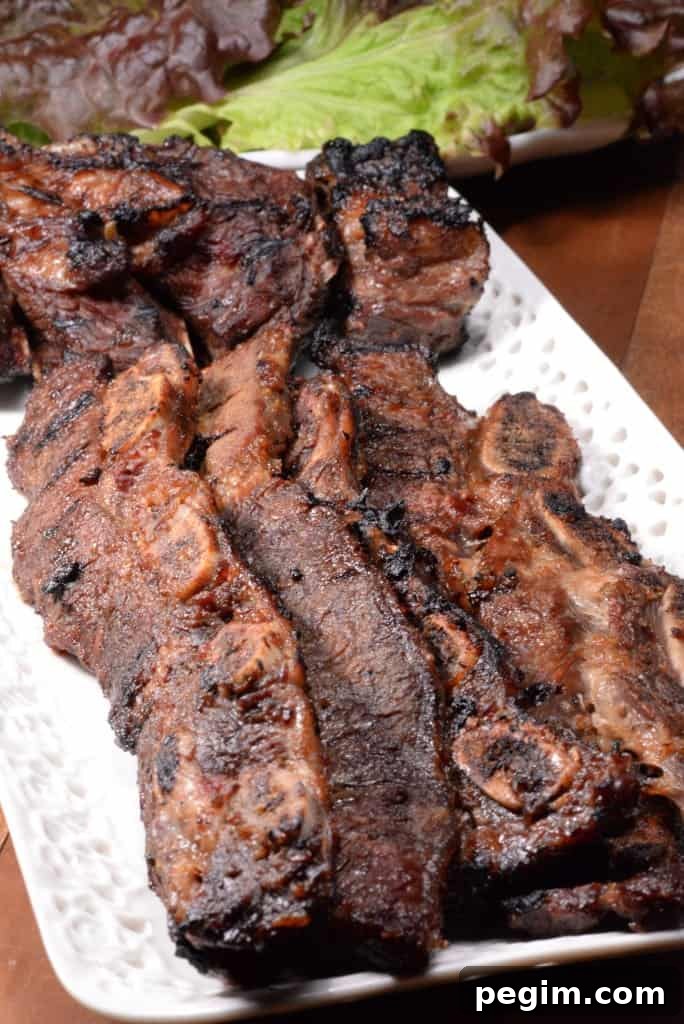 South Korea Travel Guide: Our Journey and Top Highlights 4 South Korean Galbi