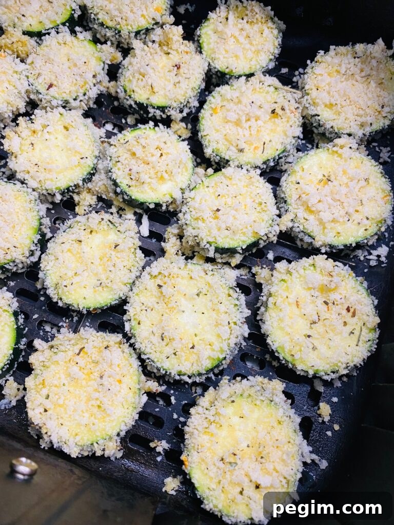 Crispy Air Fryer Zucchini Chips Recipe for Crunchy Snacks 5 zucchini chips in the air fryer before cooking