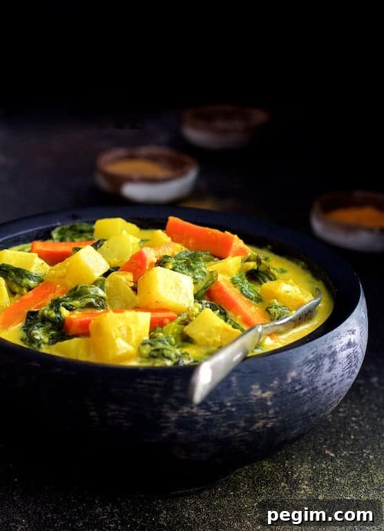 Spiced Indian Root Vegetable Curry Recipe 2 Photo of Indian Root Vegetable Curry in black bowl.