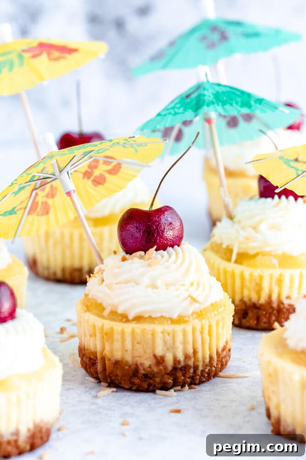 mini piña colada cheesecakes with pineapple sauce, coconut whipped cream, toasted coconut and a cherry on top.