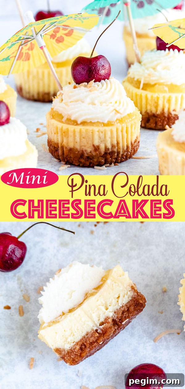 mini piña colada cheesecakes with pineapple sauce, coconut whipped cream, toasted coconut and a cherry on top.