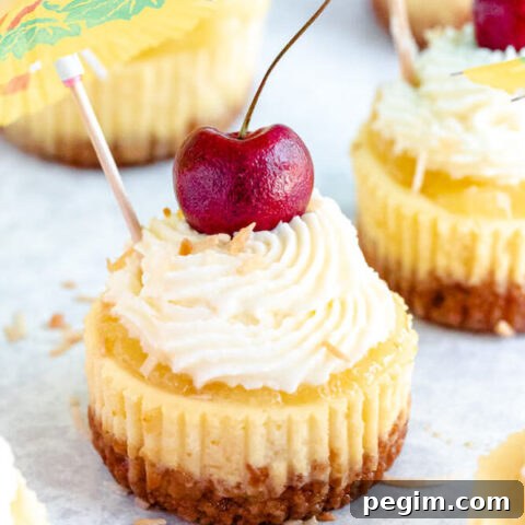 mini piña colada cheesecakes with pineapple sauce, coconut whipped cream, toasted coconut and a cherry on top.