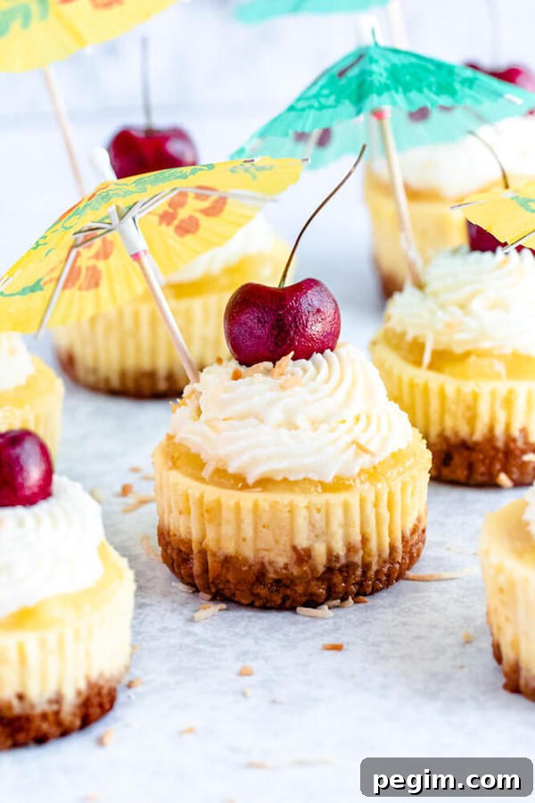 mini piña colada cheesecakes with pineapple sauce, coconut whipped cream, toasted coconut and a cherry on top.