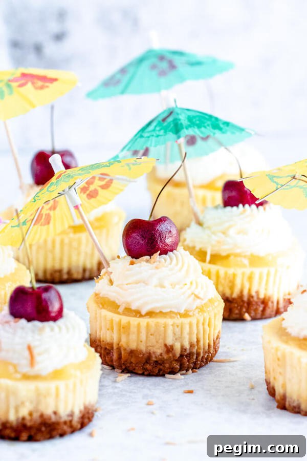 mini piña colada cheesecakes with pineapple sauce, coconut whipped cream, toasted coconut and a cherry on top.