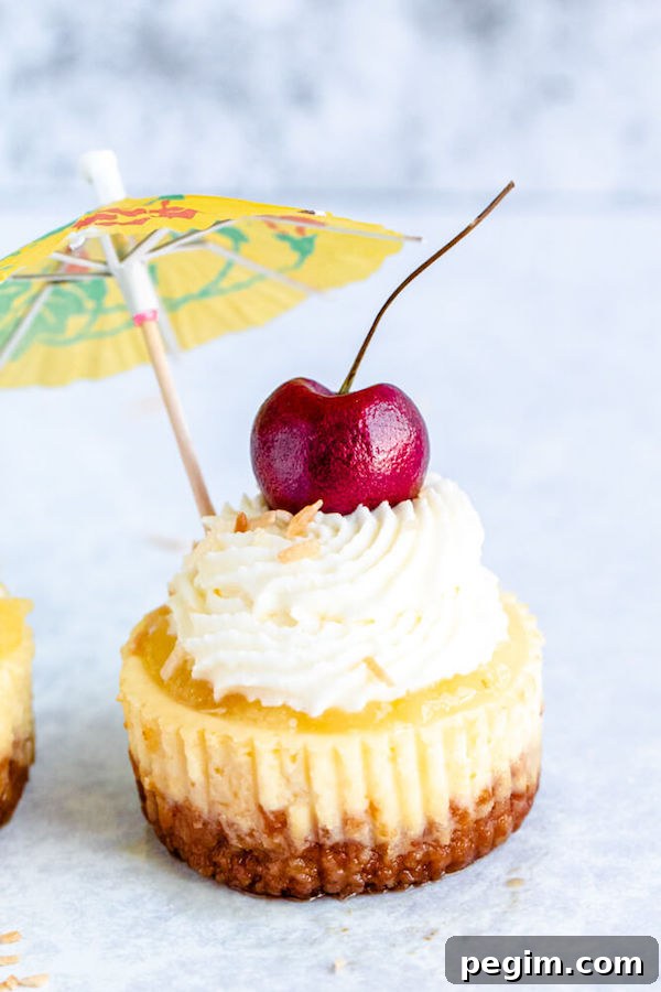 mini piña colada cheesecakes with pineapple sauce, coconut whipped cream, toasted coconut and a cherry on top.