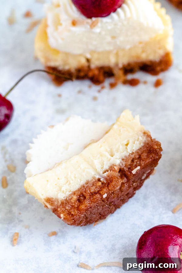 mini piña colada cheesecakes with pineapple sauce, coconut whipped cream, toasted coconut and a cherry on top.