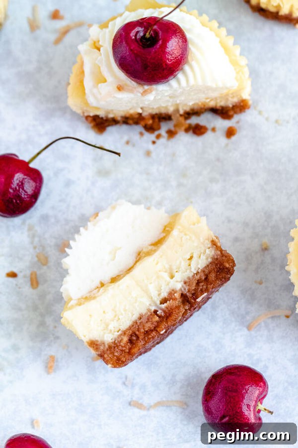 mini piña colada cheesecakes with pineapple sauce, coconut whipped cream, toasted coconut and a cherry on top.